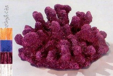 Vzd.koral paroží 250mm žl