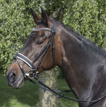 Uzda pony